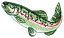 C1: Green&#13;&#10;C2: White&#13;&#10;C3: Pink&#13;&#10;C4: Red&#13;&#10;C5: Dk. Green