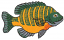 C1: Dk. Yellow&#13;&#10;C2: Red&#13;&#10;C3: Dk. Green&#13;&#10;C4: Gray&#13;&#10;C5: Dk. Green&#13;&#10;C6: Black&#13;&#10;C7: White