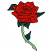 C1: Leaves---Evergreen(Isacord 40 #1208)&#13;&#10;C2: Thorns---White(Isacord 40 #1002)&#13;&#10;C3: Stem---Bright Mint(Isacord 40 #1510)&#13;&#10;C4: Rose---Poinsettia(Isacord 40 #1147)&#13;&#10;C5: Outline---Black(Isacord 40 #1234)