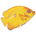 C1: Fish---Yellow Bird(Isacord 40 #1124)&#13;&#10;C2: Shade---Goldenrod(Isacord 40 #1137)&#13;&#10;C3: Shade & Outline---Pumpkin(Isacord 40 #1168)&#13;&#10;C4: Accent---Wild Iris(Isacord 40 #1032)&#13;&#10;C5: Accent---Wedgewood(Isacord 40 #1028)&#13;&#10
