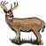 C1: Ground---Pine Bark(Isacord 40 #1170)&#13;&#10;C2: Eye & Throat---Muslin(Isacord 40 #1082)&#13;&#10;C3: Body---Old Gold(Isacord 40 #1055)&#13;&#10;C4: Body Shading---Pecan(Isacord 40 #1128)&#13;&#10;C5: Shading---Pine Bark(Isacord 40 #1170)&#13;&#10;C6