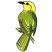 C1: Branch---Jalapeno(Isacord 40 #1104)&#13;&#10;C2: Branch Shade---Lime(Isacord 40 #1176)&#13;&#10;C3: Fill---Buttercup(Isacord 40 #1135)&#13;&#10;C4: Accent---Lima Bean(Isacord 40 #1177)&#13;&#10;C5: Accent & Shade---Backyard Green(Isacord 40 #1175)&#13