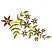 C1: Flowers---Spice(Isacord 40 #1181)&#13;&#10;C2: Flower Centers---Vanilla(Isacord 40 #1022)&#13;&#10;C3: Leaves---Autumn Leaf(Isacord 40 #1126)&#13;&#10;C4: Branches---Yellow Bird(Isacord 40 #1124)
