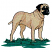 C1: Fur---Oat(Isacord 40 #1127)&#13;&#10;C2: Fur Shading---Old Gold(Isacord 40 #1055)&#13;&#10;C3: Fur Shading---Tan(Isacord 40 #1054)&#13;&#10;C4: Fur Shading---Sisal(Isacord 40 #1055)&#13;&#10;C5: Grass---Lima Bean(Isacord 40 #1177)&#13;&#10;C6: Grass--
