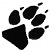 C1: Coyote Print---Black(Isacord 40 #1234)