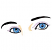 C1: Skin---Meringue(Isacord 40 #1017)&#13;&#10;C2: Eye Whites---White(Isacord 40 #1002)&#13;&#10;C3: Iris---Crystal Blue(Isacord 40 #1249)&#13;&#10;C4: Iris Shading---Reef Blue(Isacord 40 #1196)&#13;&#10;C5: Iris Highlights---Oxford(Isacord 40 #1222)&#13;