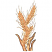 C1: Wheat Silk---Honey Gold(Isacord 40 #1025)&#13;&#10;C2: Wheat & Leaf---Parchment(Isacord 40 #1066)&#13;&#10;C3: Wheat & Leaf Shading---Candlelight(Isacord 40 #1137)&#13;&#10;C4: Leaves Outlines---Autumn Leaf(Isacord 40 #1126)