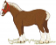 C1: Lt. Brown&#13;&#10;C2: White&#13;&#10;C3: Brown&#13;&#10;C4: Off-White&#13;&#10;C5: Dk. Brown&#13;&#10;C6: Lt. Tan&#13;&#10;C7: Red&#13;&#10;C8: Green