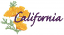 C1: Green&#13;&#10;C2: Lt. Orange&#13;&#10;C3: Gold&#13;&#10;C4: Lt. Yellow&#13;&#10;C5: Purple