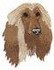 Afghan Hound