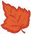 Leaf #2