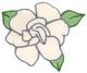 Gardenia