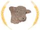 Steer Head
