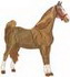 Saddlebred
