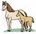 Mare & Foal