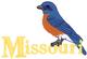 Eastern Bluebird