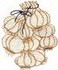 Garlic Rope