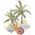 Shells & Palms