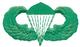 Parachutist