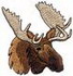 Moose Head