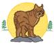 Bobcat
