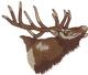 Elk