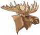Moose