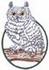 Great Horned Owl