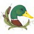 Mallard