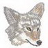 Coyote
