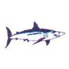 GREAT WHITE SHARK