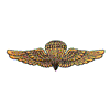 AIRBORNE WINGS
