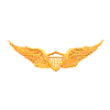 MILITARY WINGS
