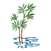 BAMBOO