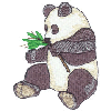 PANDA BEAR