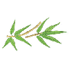 TREE BRANCH
