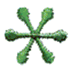 ASTERISK