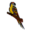 PARROT