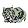 CANADIAN LYNX