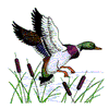MALLARD DUCK2 LG FOR HOME SEW