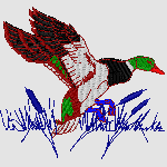 MALLARD DUCK SMALL