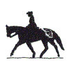 ENGLISH RIDER ON APPALOOSA