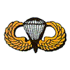 AIRBORNE LOGO