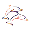 BOTTLENOSE DOLPHINS