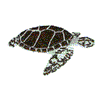 SEA TURTLE
