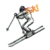 SKIER