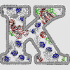 PAISLEY K APPLIQUE