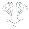 FLORAL OUTLINE
