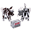 ACME MILKING MACHINE COWS