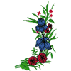 FLORAL BORDER